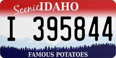 ID license plate I395844
