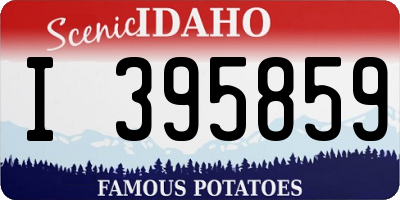 ID license plate I395859
