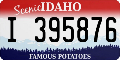 ID license plate I395876
