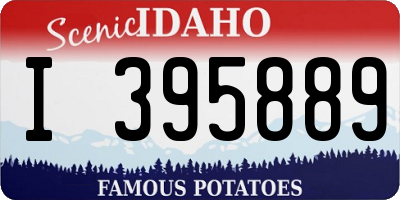 ID license plate I395889