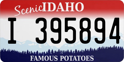 ID license plate I395894