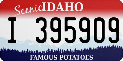 ID license plate I395909