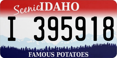 ID license plate I395918