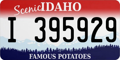 ID license plate I395929