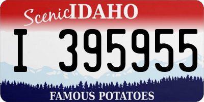 ID license plate I395955