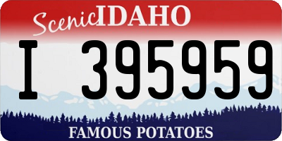 ID license plate I395959