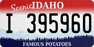 ID license plate I395960