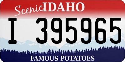 ID license plate I395965
