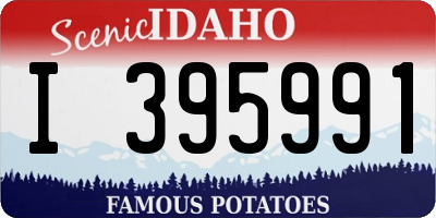 ID license plate I395991