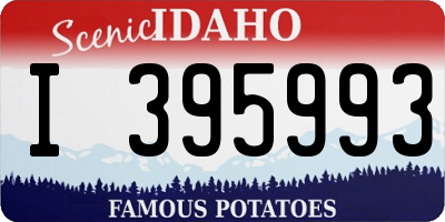ID license plate I395993
