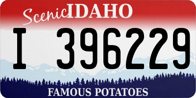ID license plate I396229