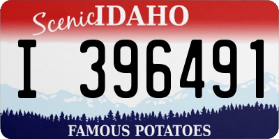 ID license plate I396491