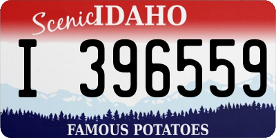 ID license plate I396559