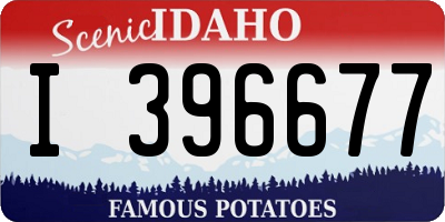 ID license plate I396677