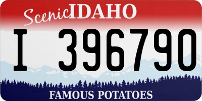 ID license plate I396790