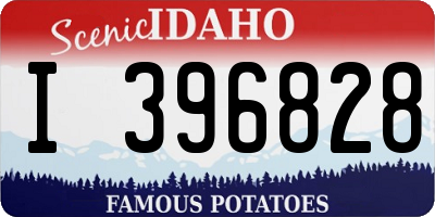 ID license plate I396828