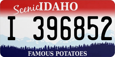 ID license plate I396852