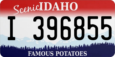 ID license plate I396855