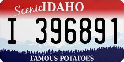 ID license plate I396891