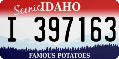 ID license plate I397163