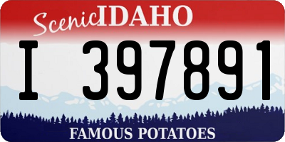 ID license plate I397891