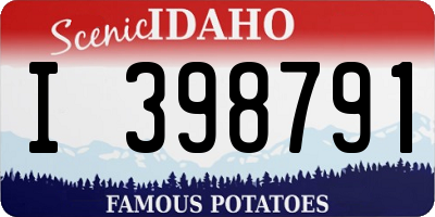 ID license plate I398791