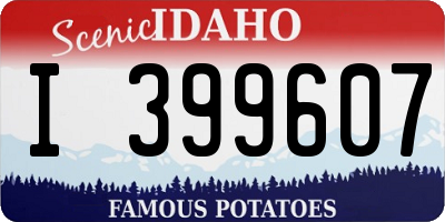 ID license plate I399607