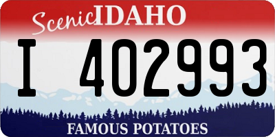 ID license plate I402993
