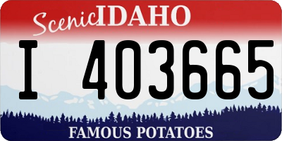ID license plate I403665
