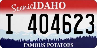ID license plate I404623