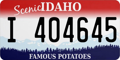 ID license plate I404645