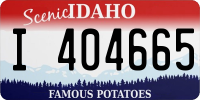 ID license plate I404665