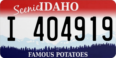 ID license plate I404919