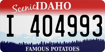 ID license plate I404993