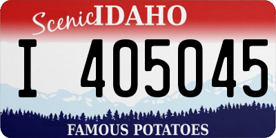 ID license plate I405045