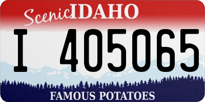 ID license plate I405065