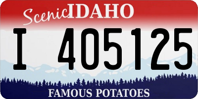ID license plate I405125