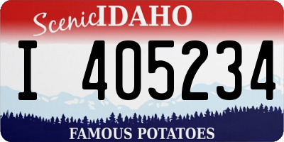 ID license plate I405234
