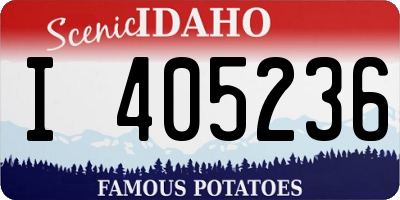 ID license plate I405236