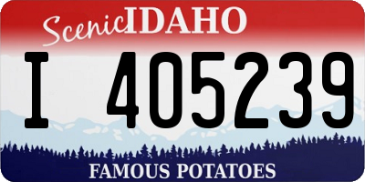 ID license plate I405239