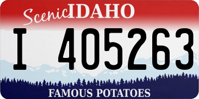 ID license plate I405263