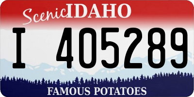 ID license plate I405289