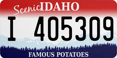 ID license plate I405309