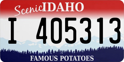 ID license plate I405313