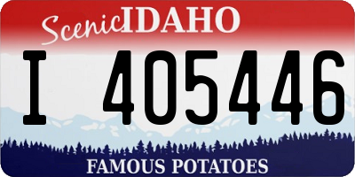 ID license plate I405446