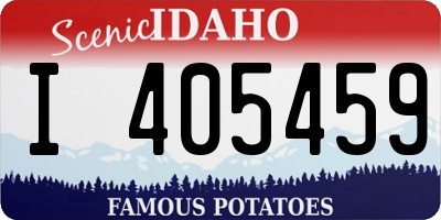 ID license plate I405459