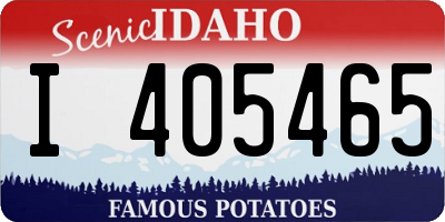 ID license plate I405465