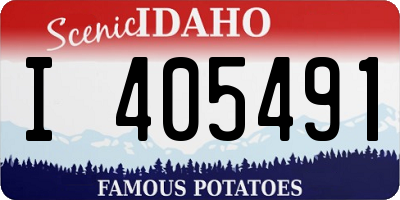 ID license plate I405491