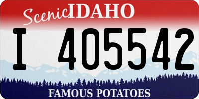 ID license plate I405542