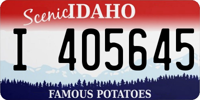 ID license plate I405645